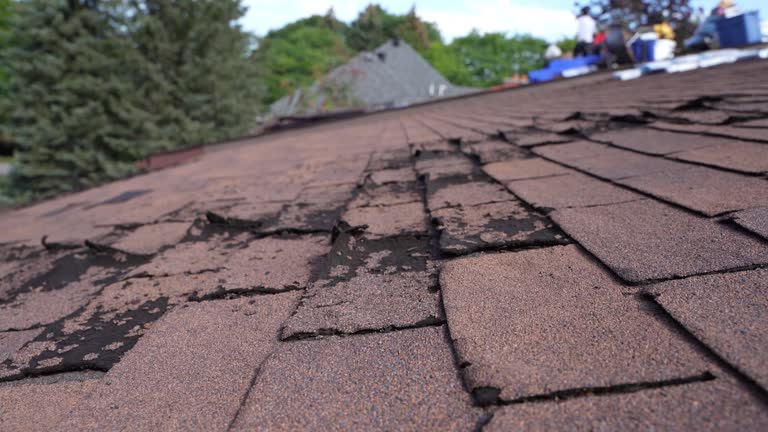 Roof Insulation Installation in Orrville, OH