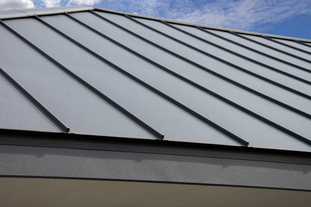 Best Skylight Installation and Repair  in Orrville, OH